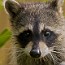 thumbs/IMG_8054.jpg